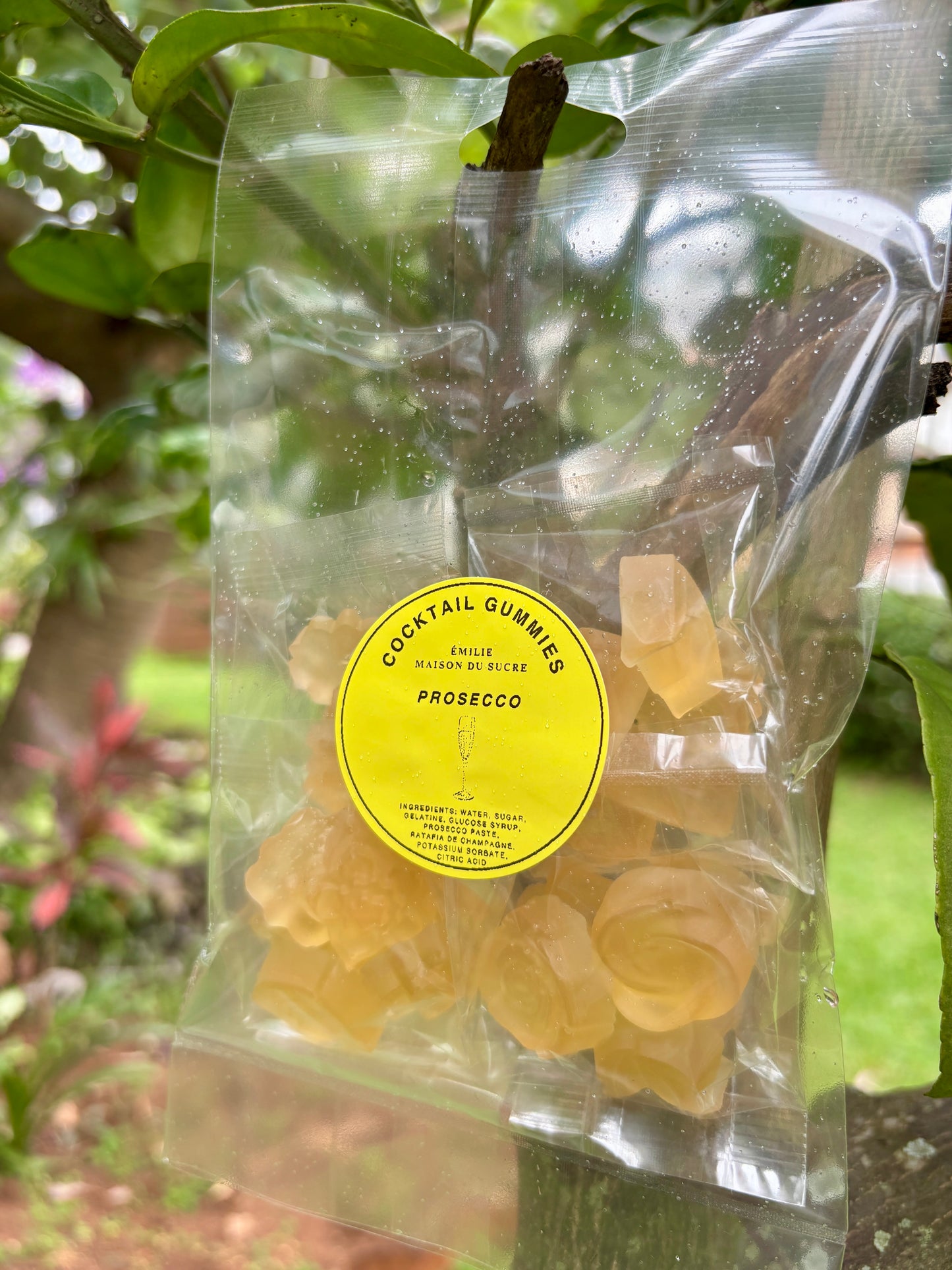 Prosecco Gummies